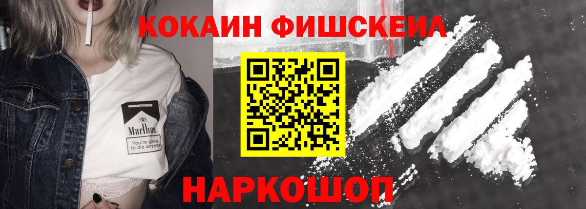 Cocaine Fish Scale  Вход с VPN  Орехово-Зуево 