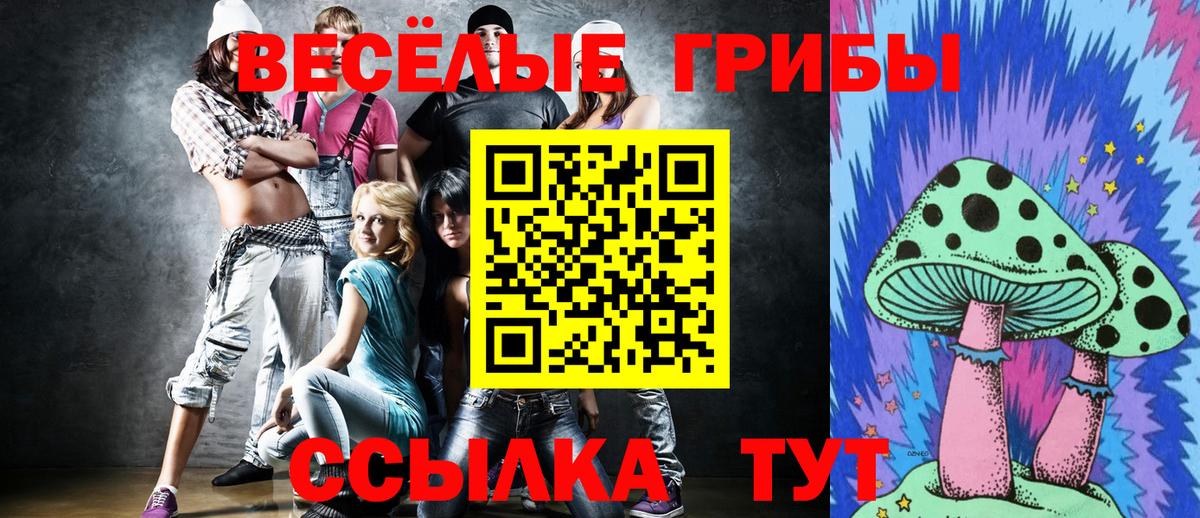 Псилоцибиновые грибы мухоморы Орехово-Зуево