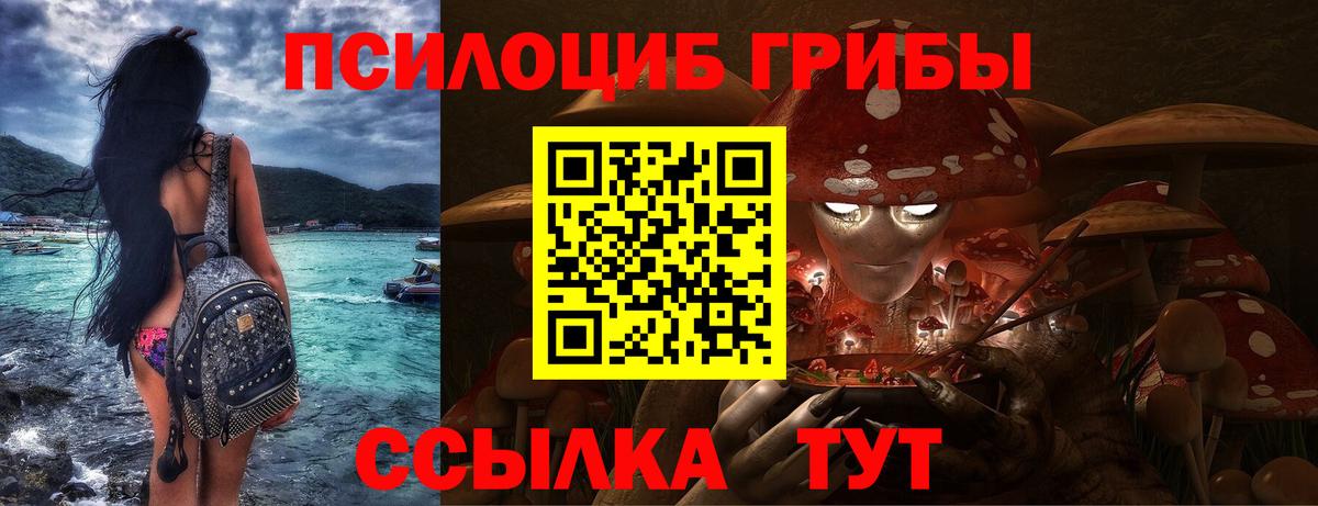 Орехово-Зуево  Галлюциногенные грибы Psilocybe  Вход с VPN 